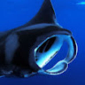 Meet your Posher, Charley